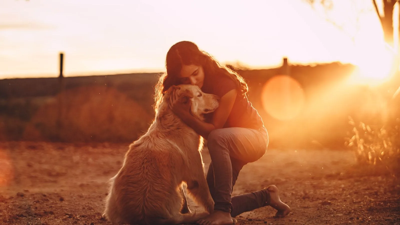 Une femme enlace tendrement son chien dans la lumière dorée du coucher de soleil - la santé et la protection du chien tout au long de sa vie