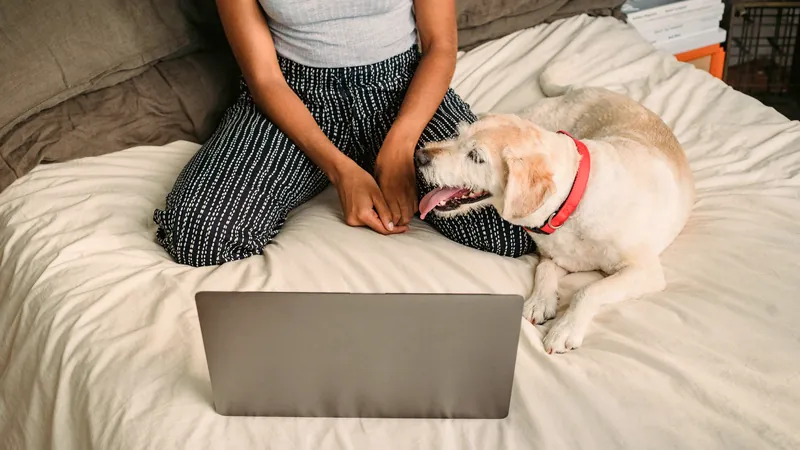 Personne installée calmement chez elle devant un ordinateur portable, son chien couché tout près - les erreurs à éviter avant de souscrire une assurance pour chien