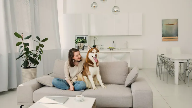 Chien husky en pleine forme installé avec sa maîtresse dans un salon clair et lumineux - comprendre comment est calculé le remboursement d'une assurance pour chien