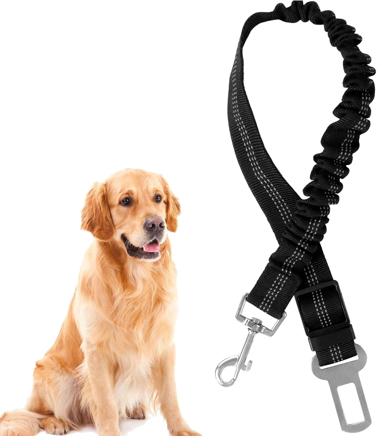 Ceinture de sécurité pour chien, à raccorder au harnais