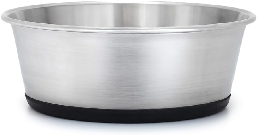 Gamelle de repas pour chien, base antidérapante