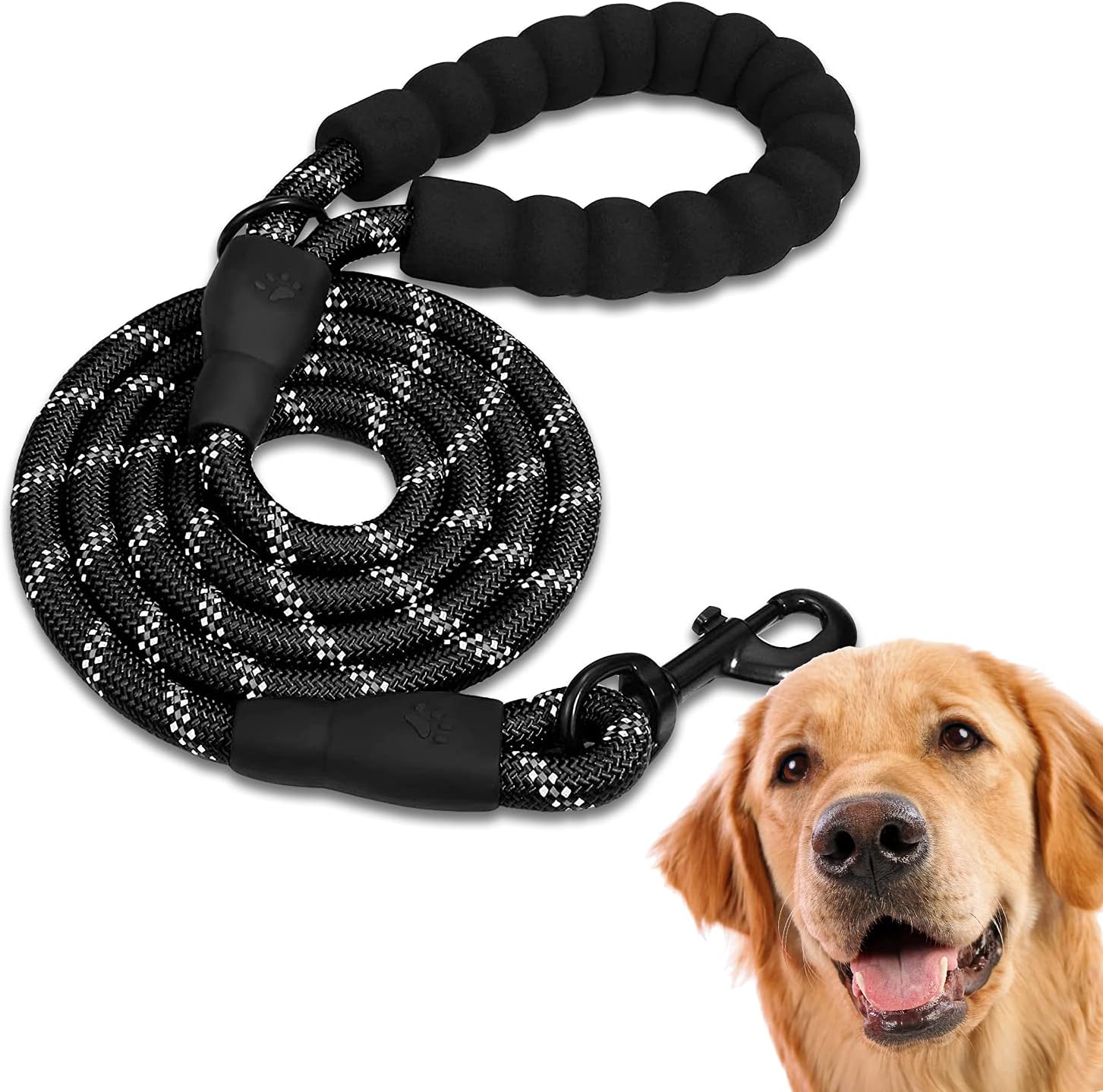 Laisse pour chien de longueur fixe avec mousqueton et poignée matelassée