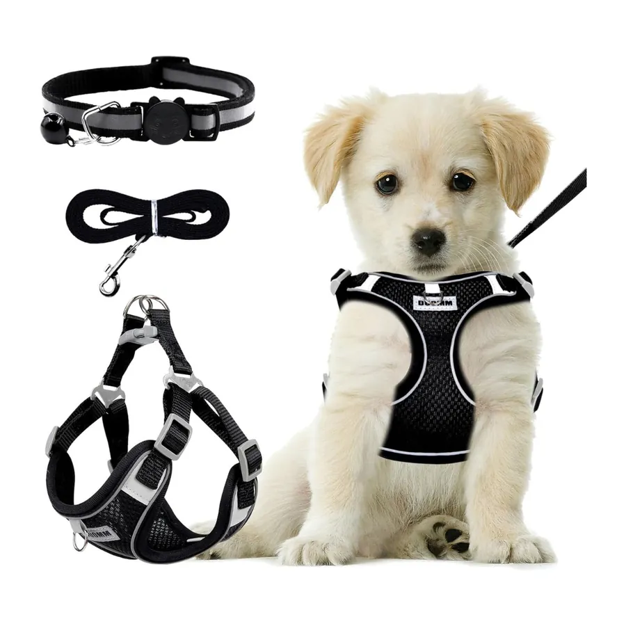 Chiot au poil clair portant un harnais matelassé noir en maille, présenté avec un collier et une laisse assortis